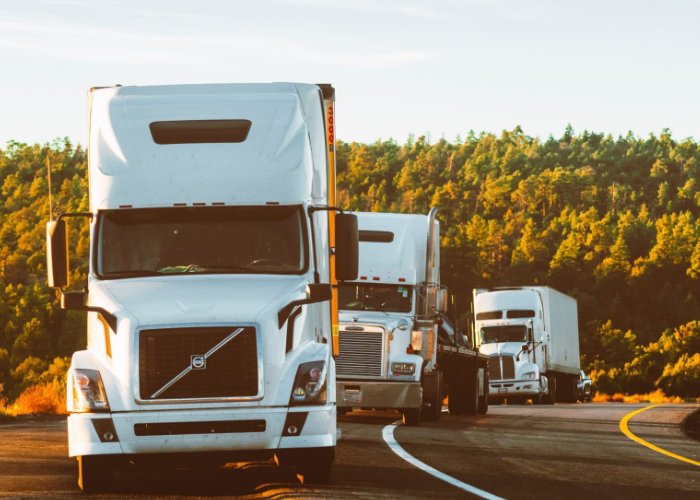 perspectiva_destaque_site