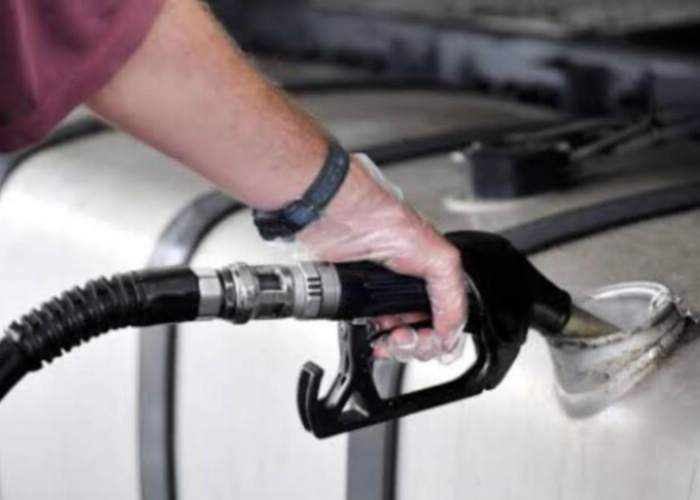 gasosa1_destaque_site