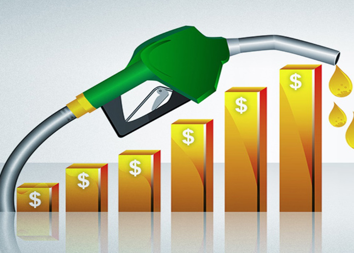 impacto_destaque_site