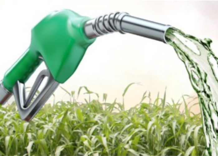 Noticia_vaasolinaverde_destaque.